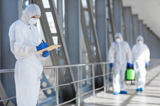 Best Mold Remediation for Healthcare Facilities  in Southaven, MS