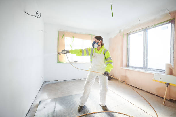 Trusted Southaven, MS Mold Removal Experts