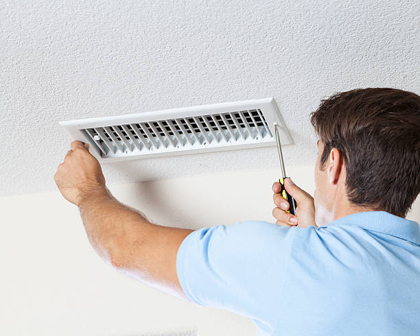 Best Mold Remediation for Rental Properties  in Southaven, MS